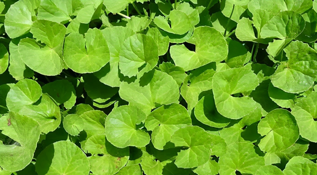 640.png 640.png